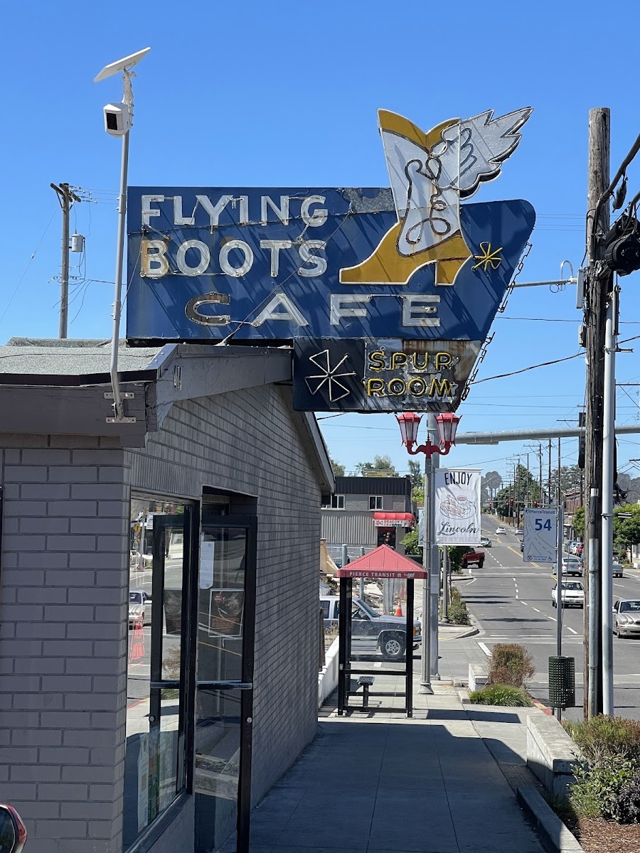 Flying Boots & Wings
