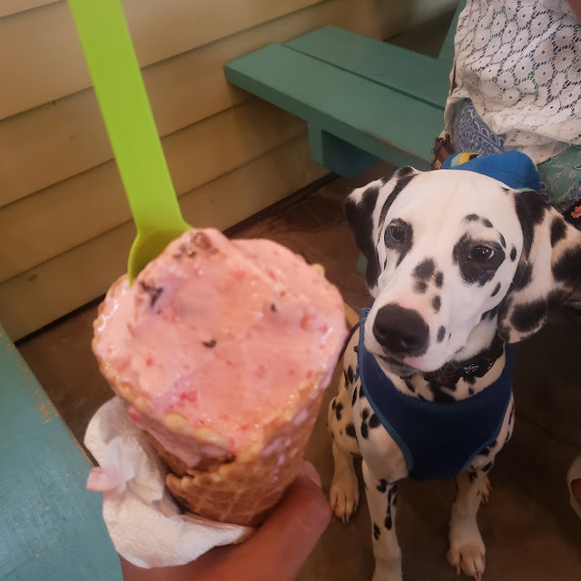 Cherry Chocolate Chip