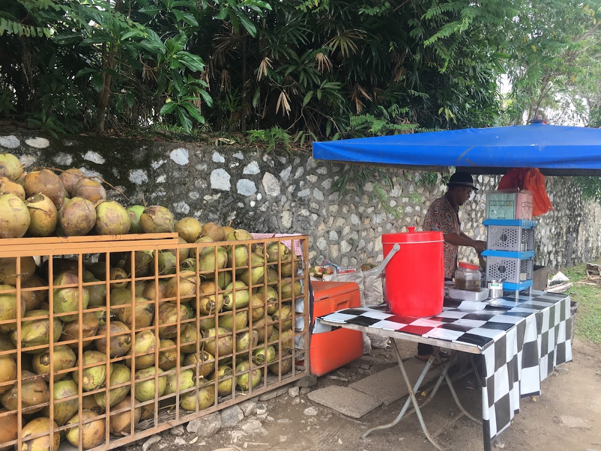 Fresh Coconut Stand/Stall