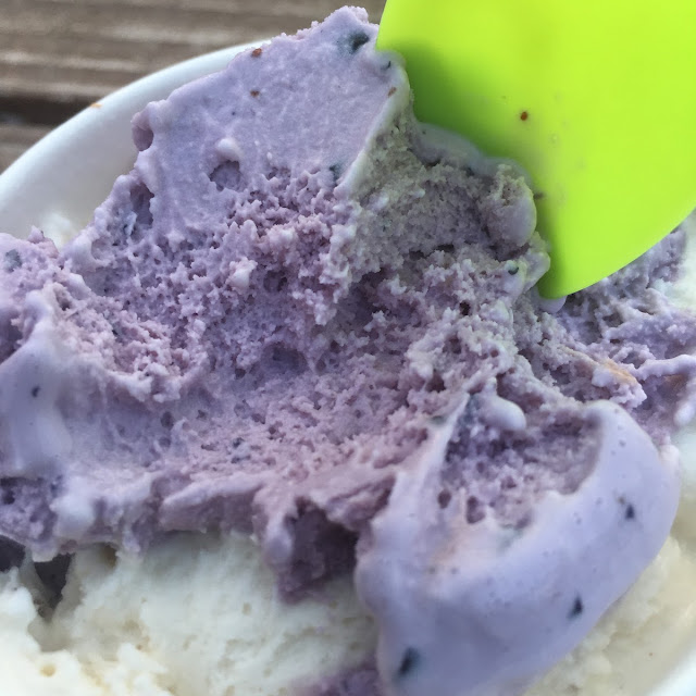 Blueberry Ice Cream