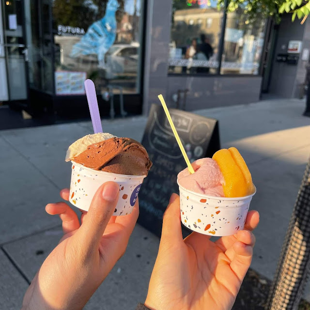 Coffee and Dark Chocolate Gelato Niagara Strawberry Gelato and Apricot Granita