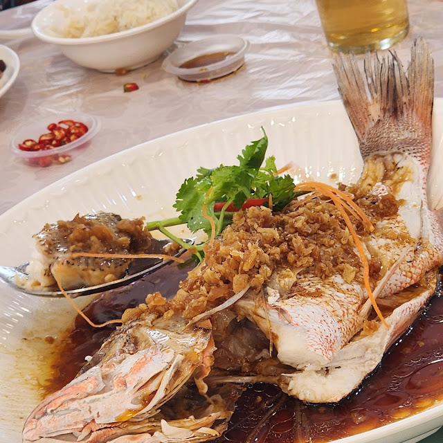 菜莆港蒸菜莆鱼
