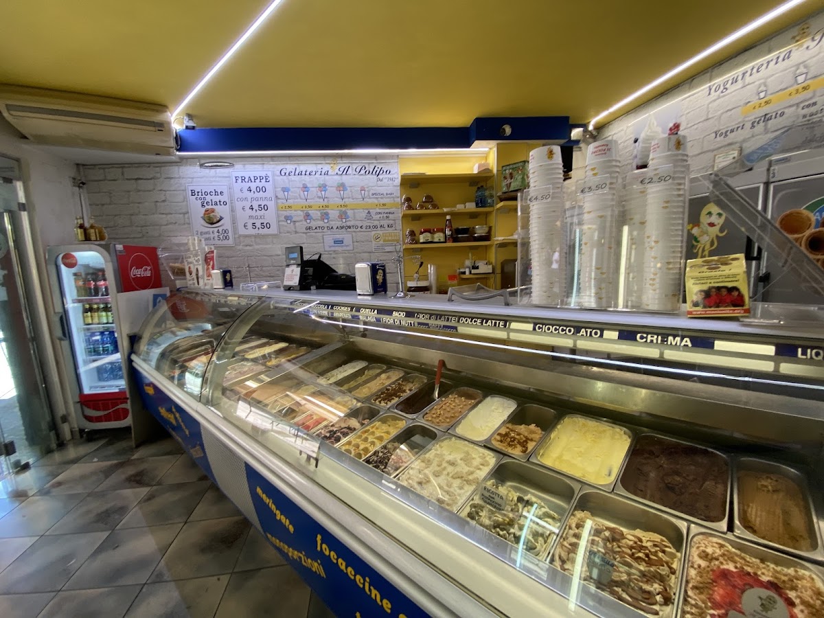 Gelateria The Octopus