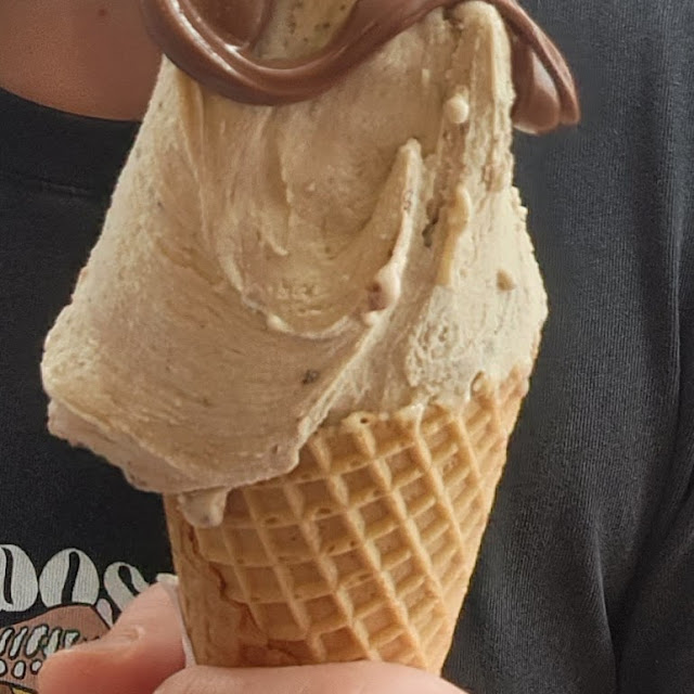 Rum Raisin Ice Cream