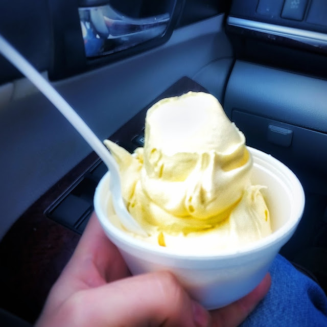 Vanilla Frozen Custard
