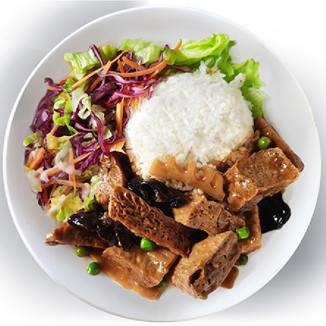 Braised Tofu in Brown Sauce V