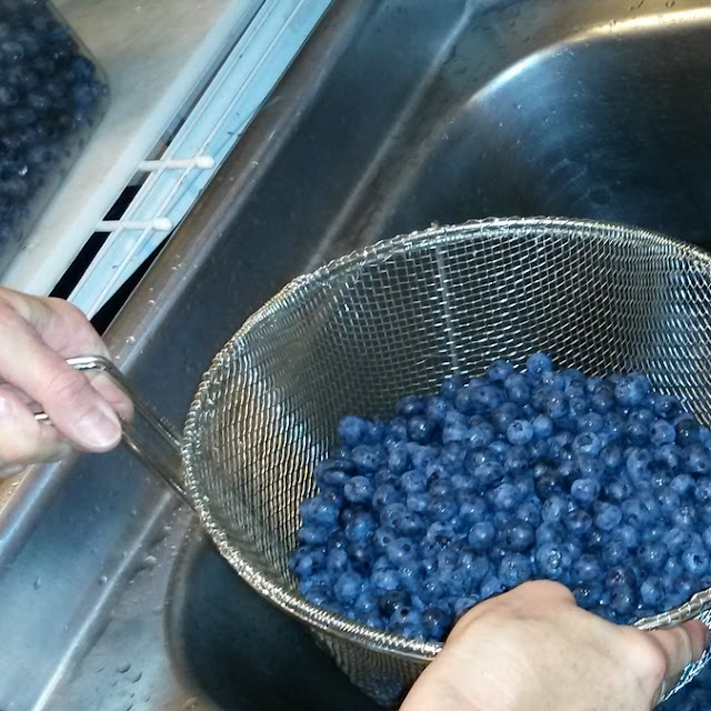 Blueberry