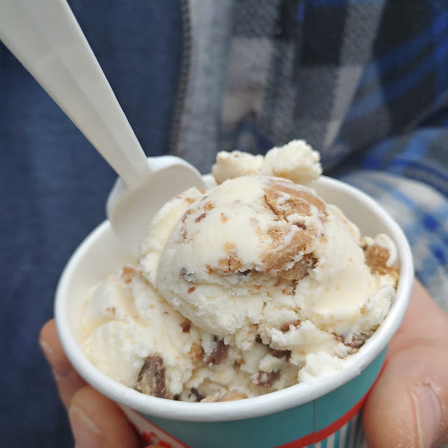 1 Scoop Reese's Peanut Butter Cup