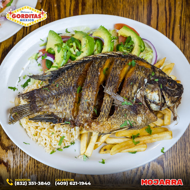 Mojarra Frita la Ilegal