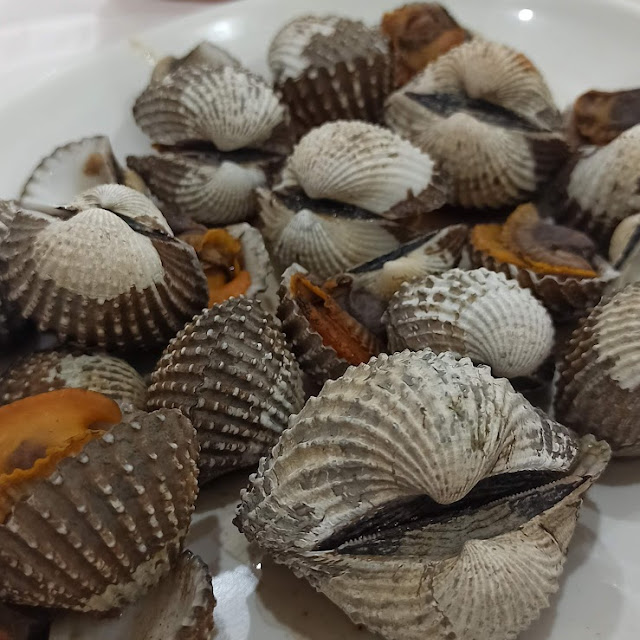 Kerang Dara Rebus