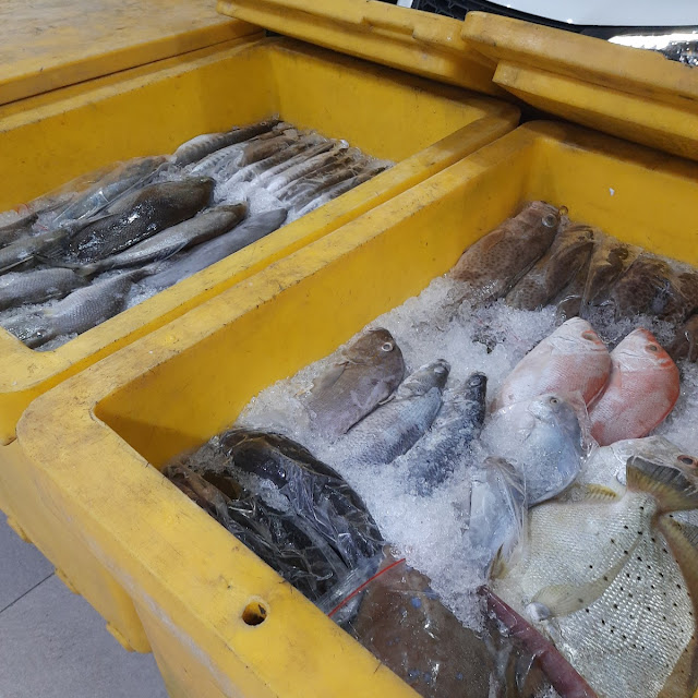 Ikan Segar