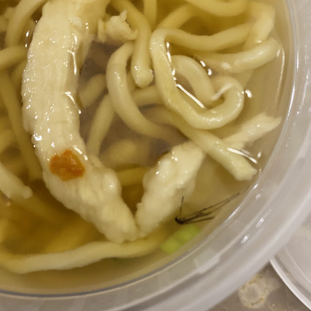 Udon