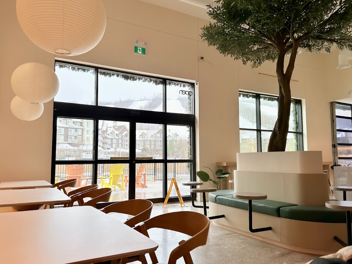 Greekery Café