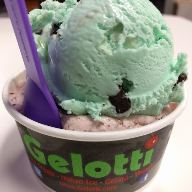 Mint Chip and Chocolate Covered Strawberry Ice Cream