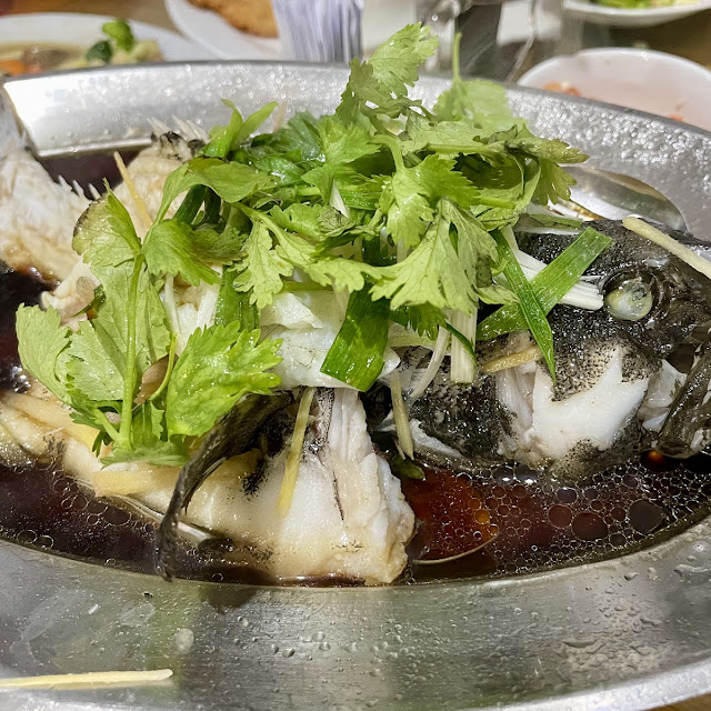 Hong Kong Style Steamed Grouper