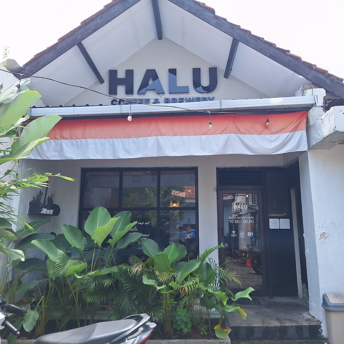 Halu Coffee