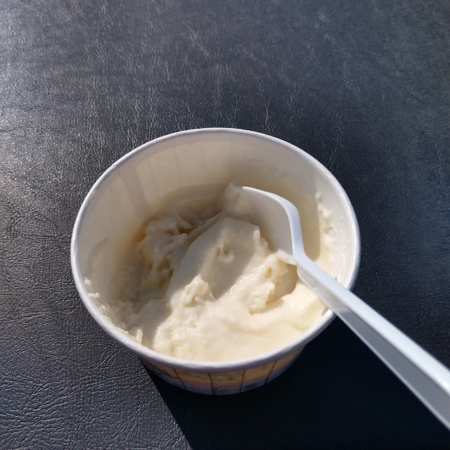 Vanilla Ice Cream