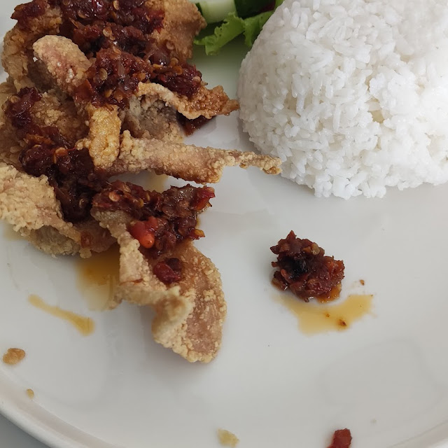Nasi Kulit