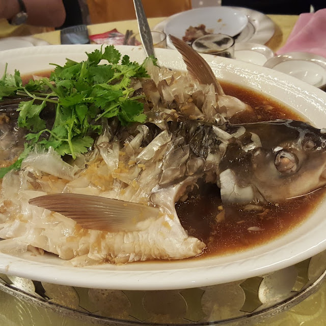 Steamed Giant Grupa Fish