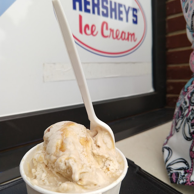 Ice Cream Cup