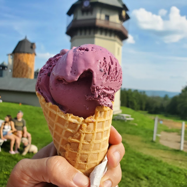 Purple Cow Ice Cream