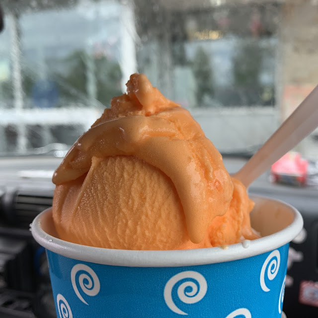 Vanilla Ice Cream and Orange Sherbet