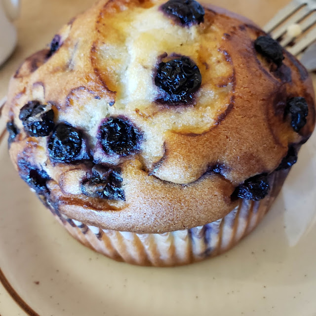 Blueberry Muffin