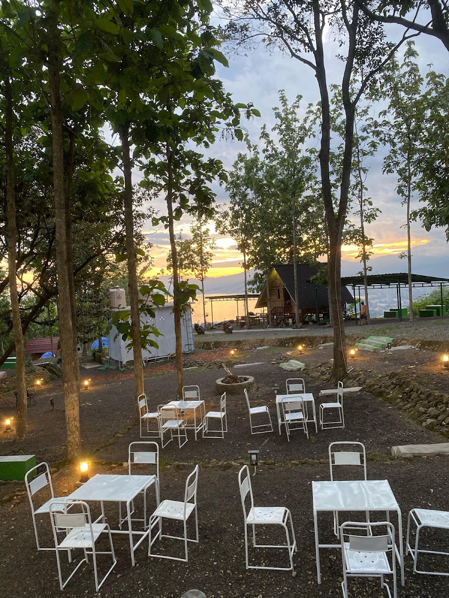 Hutan Jati Coffee Camping