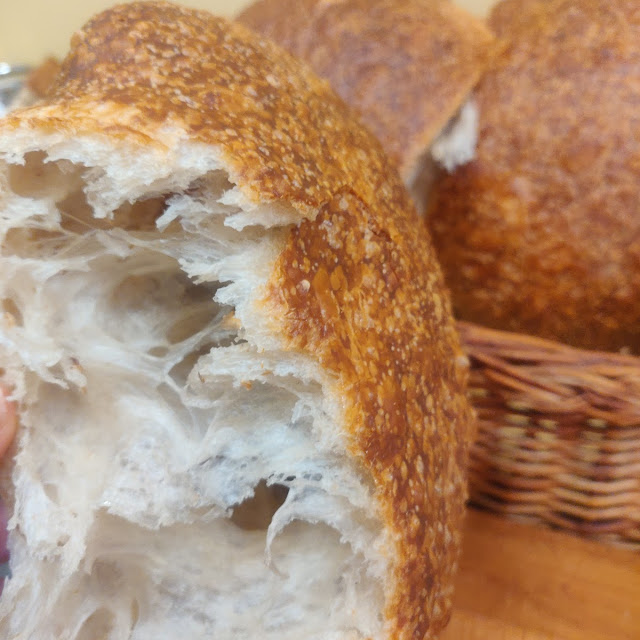 Pane