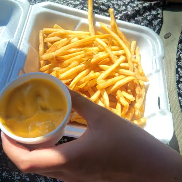 Fries and Cheese Sauce