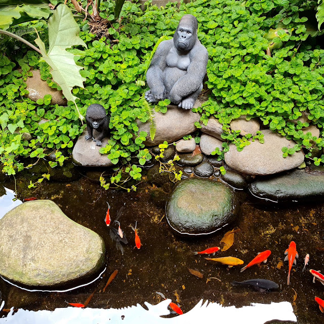 Kolam Ikan
