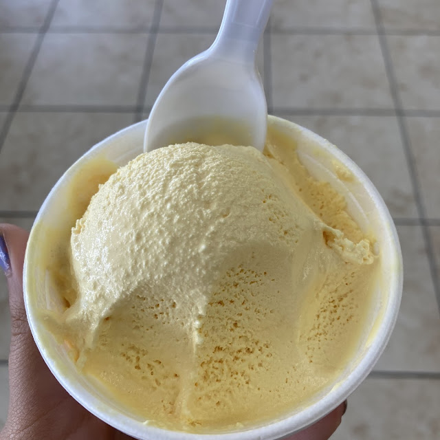 Vanilla Ice Cream