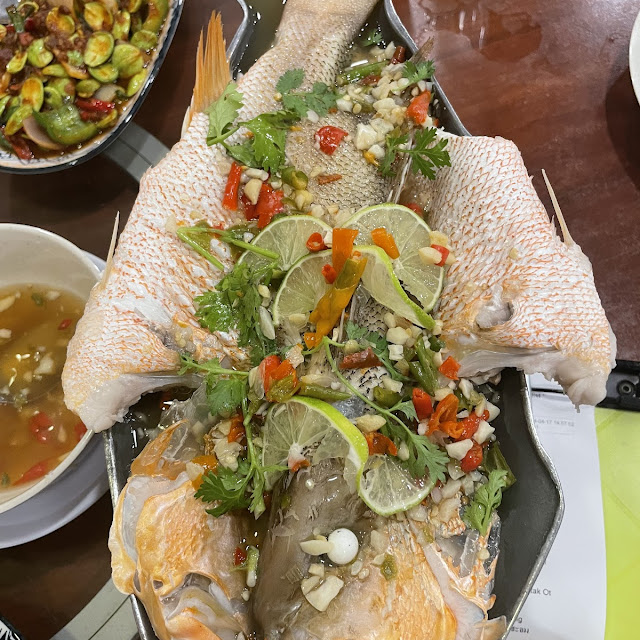 Steam Fish
