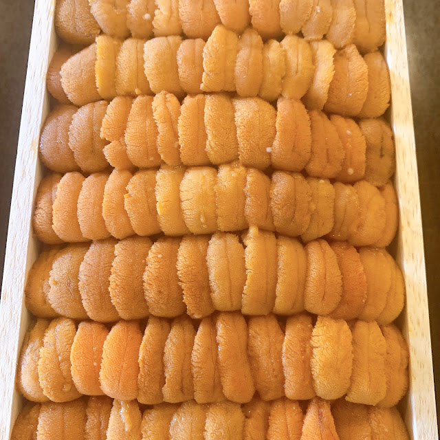 Uni Hokkaido
