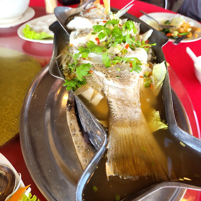 Steam Fish