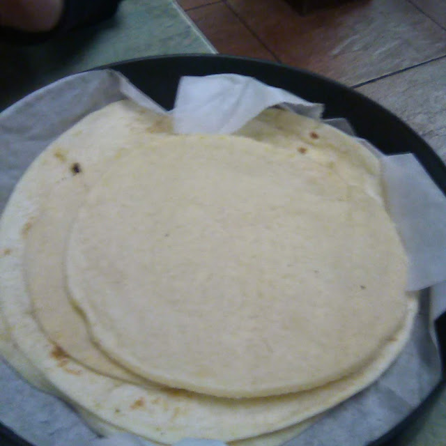 Homemade Corn Tortillas