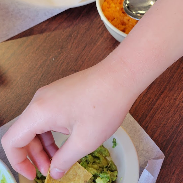 Chips and Salsa & Guacamole Dip