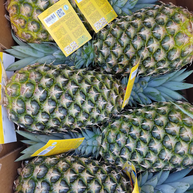 Pineapple