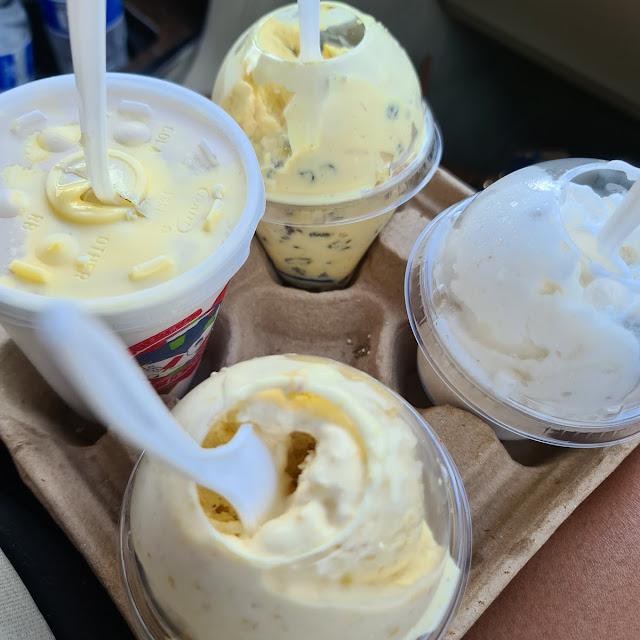 Nance Craboo Soursop and Rum Raisin