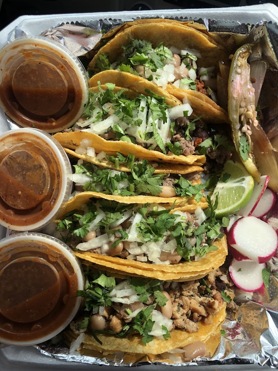 La Tapatia #2