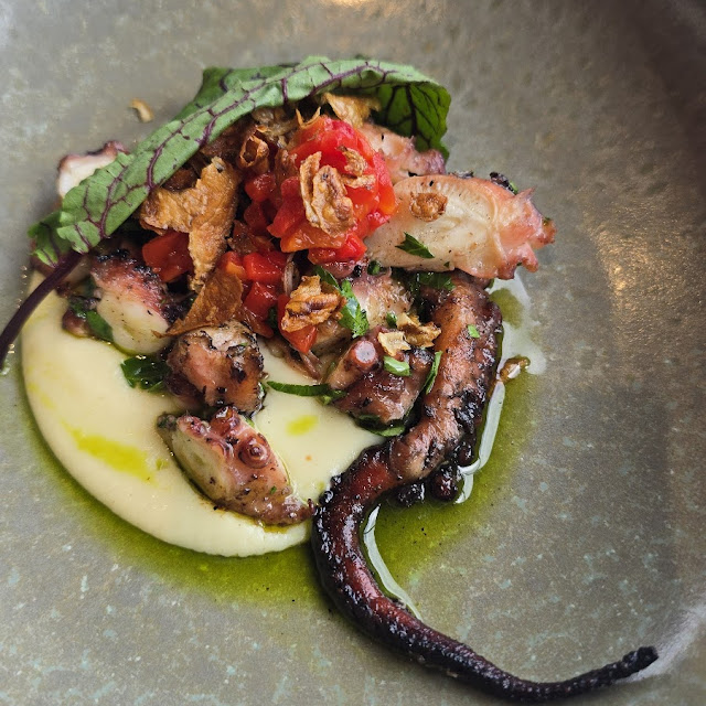 Polpo Octopus