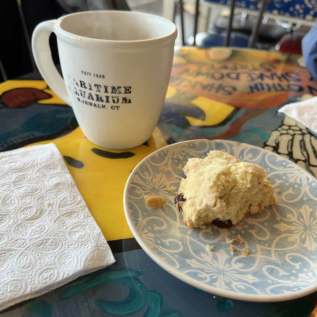 Vanilla Coffee and Cranberry Scone