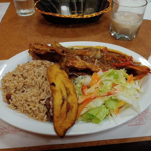 Caribbean Snapper