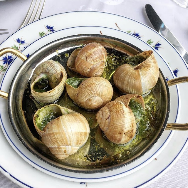 Gros Escargots de Bourgogne Sauvages Au Beurre d'Ail