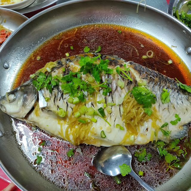 Soy Sauce Steamed Fish Kat Loh Fish Own Fish