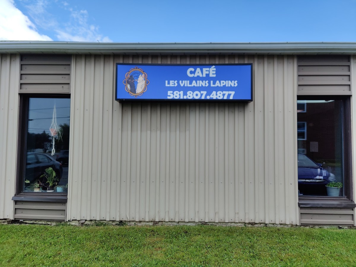 Les Vilains Lapins - Café