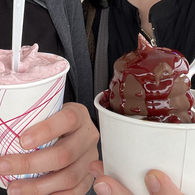 Arctic Blast and Chocolate Dipped Soft Serve