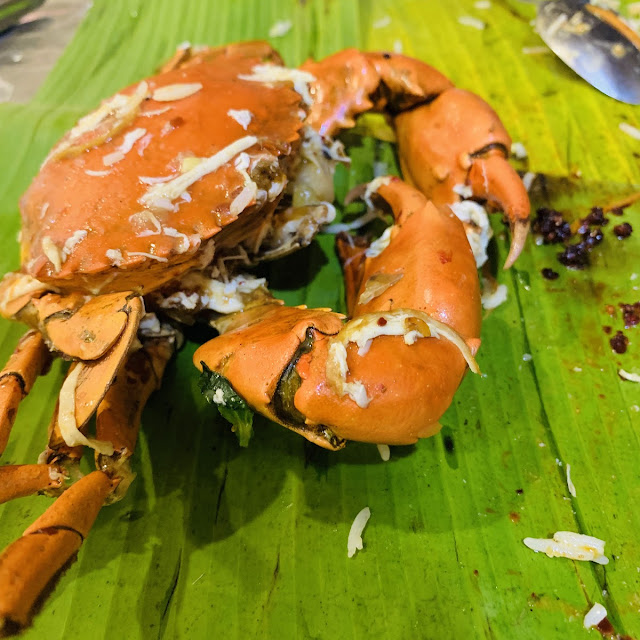 Trincomalee Crab