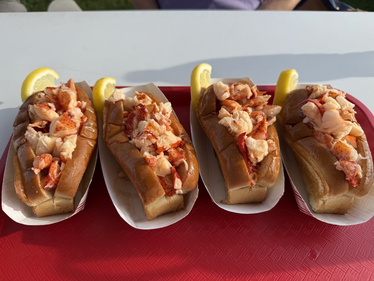 Lobstah Dawg
