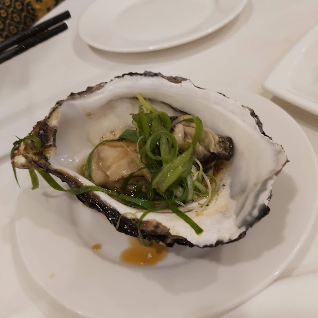 Huge Oysters